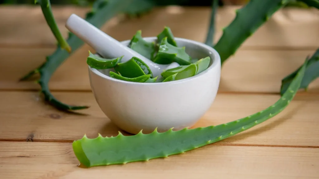 Aloe vera- one of the best indoor plants at home