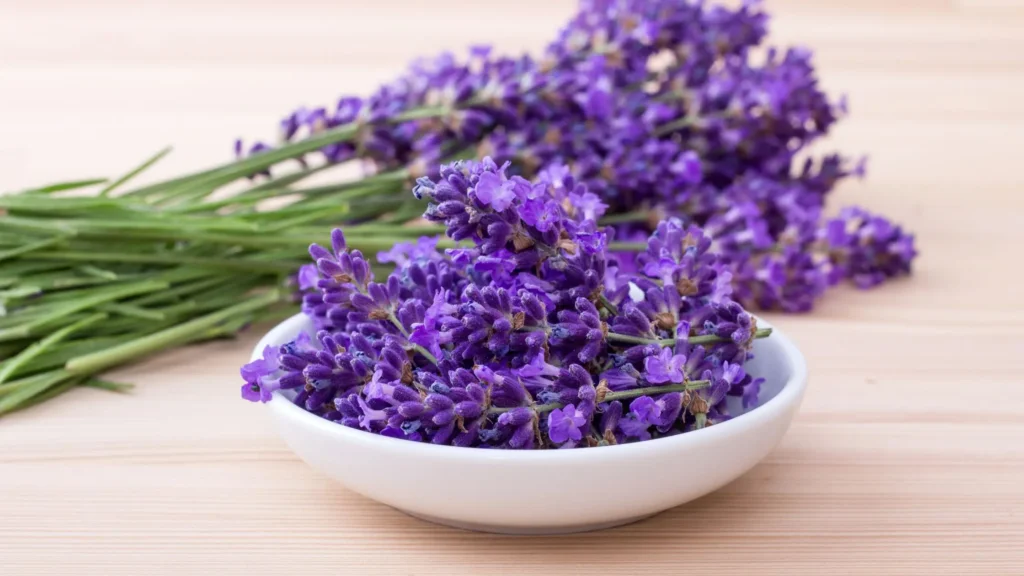 lavender - one of the best plants to keep at home